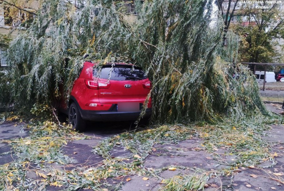 Ураган деревопад є небезпека для Києва та області
