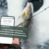 У водоймах України забороняється вилов риби 