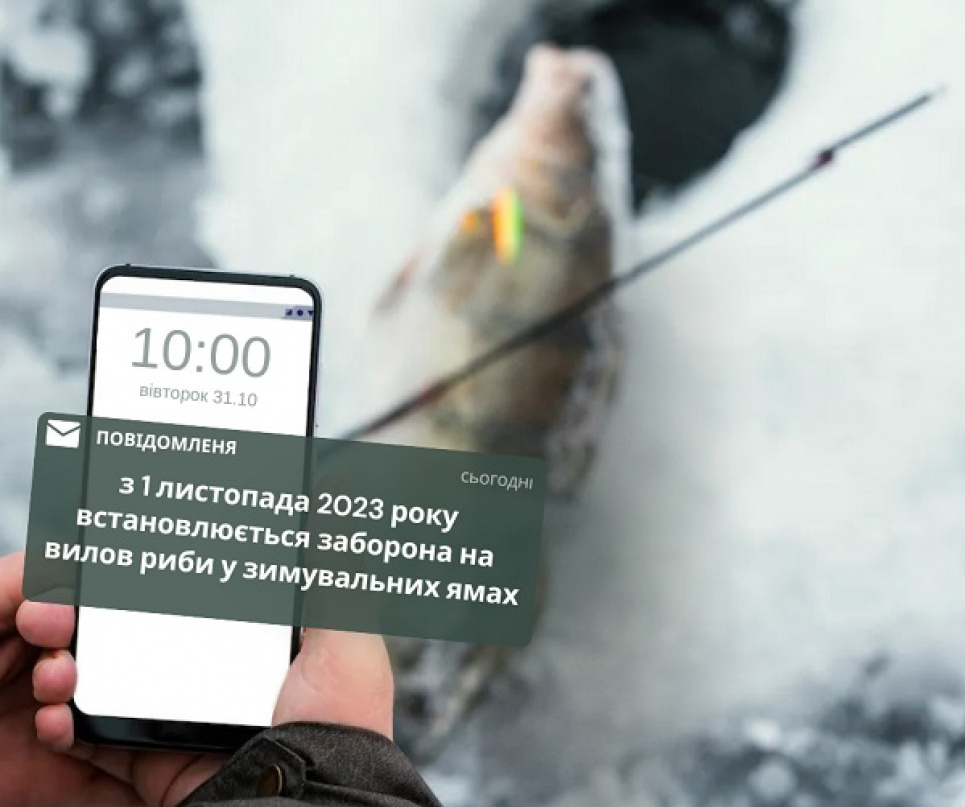 У водоймах України забороняється вилов риби у зимувальних ямах У водоймах України забороняється вилов риби