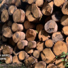 Источник фото: ГБР