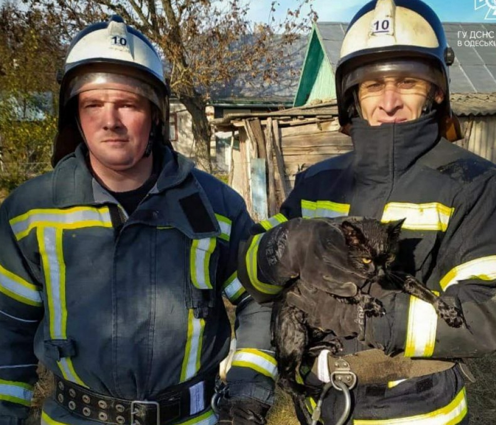 Одеські рятувальники поповнили свою скарбницю ще одним врятованим життям Одеські рятувальники врятоване життя