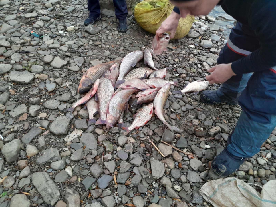 На Буковині двоє рибалок завдали збитків державі 