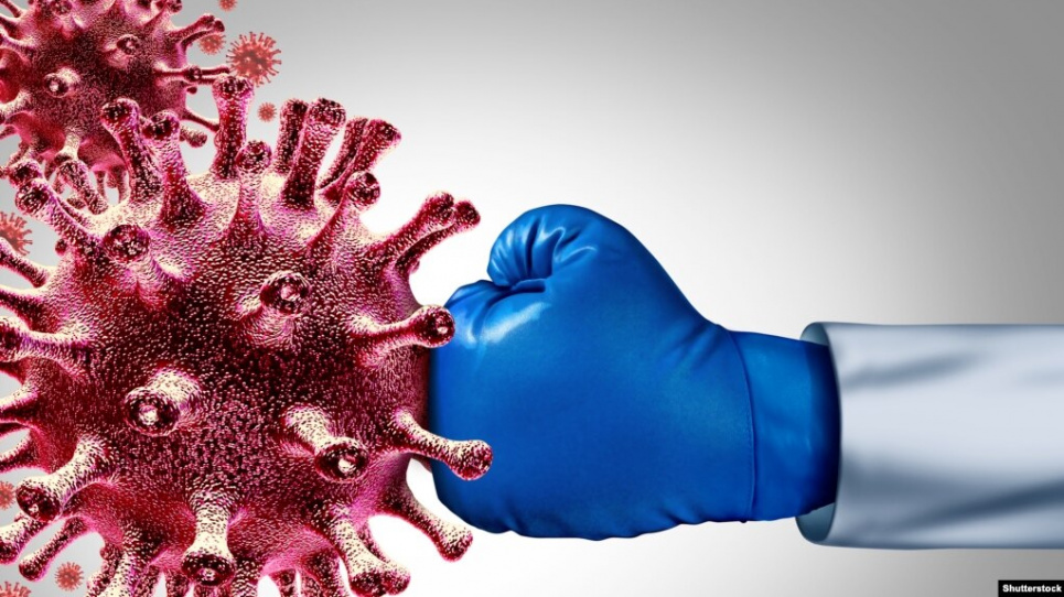 Вирусы атакуют поддержать иммунитет к укреплению иммунитета