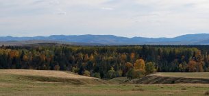 На Буковине благодаря прокуратуре сохранено 24 га геологического памятника
