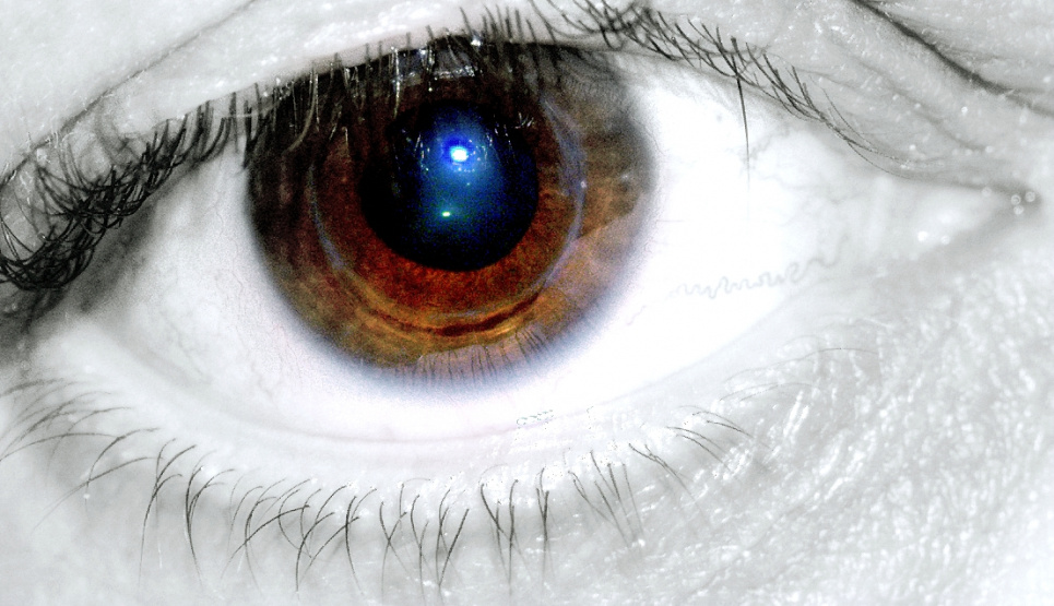 США выполнили первую в истории трансплантацию целого глаза человеку