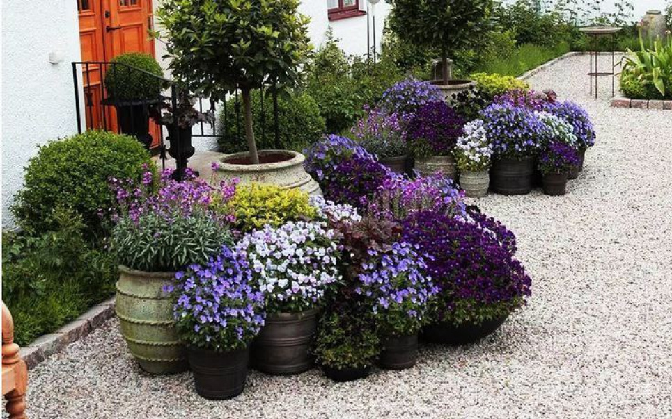 Контейнерний сад — цікаве й оригінальне рішення Контейнерний сад