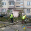 Сильний вітер в Одесі валить дерева містян просять обмежити пересування вулицями