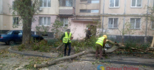Сильний вітер в Одесі валить дерева містян просять обмежити пересування вулицями