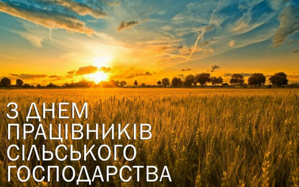 Свято День працівників сільського господарства в Україні або День аграрія