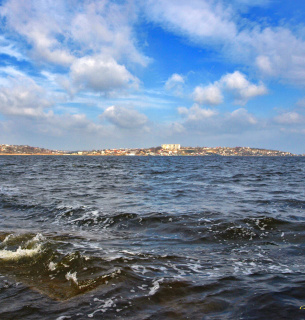 Зариблення Хаджибейського лиману: у водойму випущено першу партію коропа та товстолоба