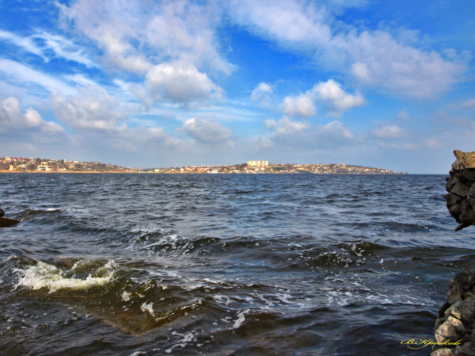 Зарыбление Хаджибейского лимана: в водоем выпущена первая партия карпа и толстолоба 