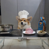 Кафе Woof-Woof | кафе в Києві, в яке можна з песиками 