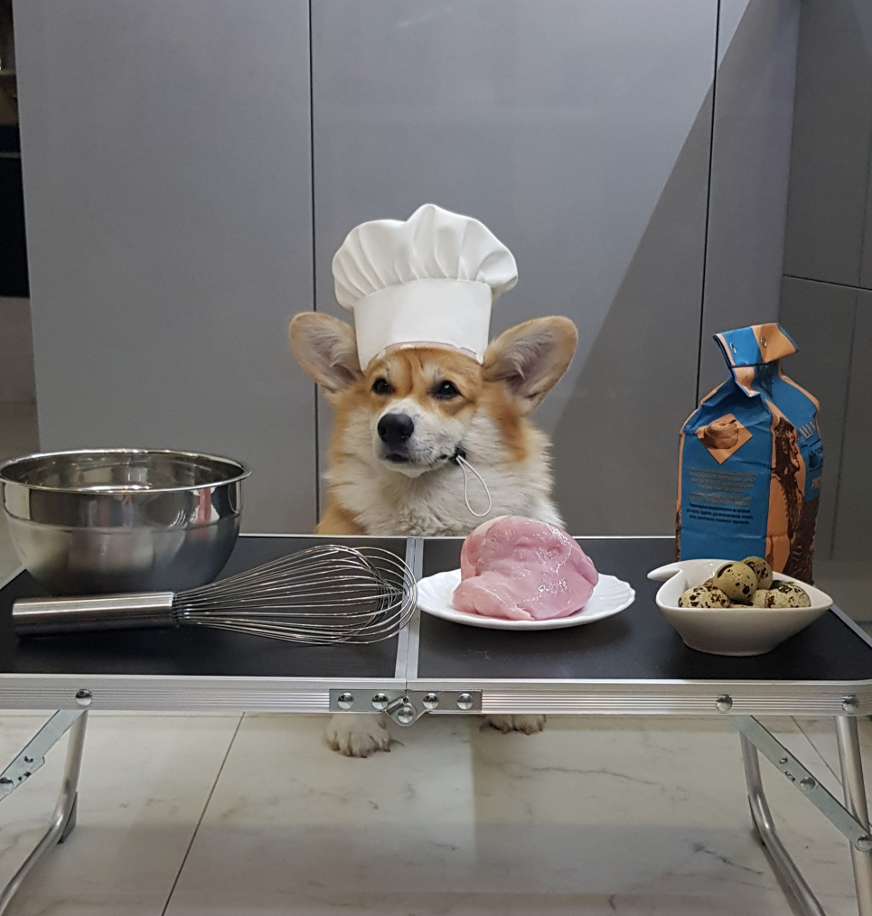 Кафе Woof-Woof: де кожному песику раді Кафе Woof-Woof | кафе в Києві, в яке можна з песиками