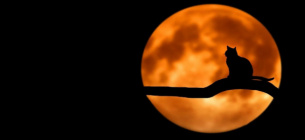 Время наедине - прогноз для 19-ти лунных суток на завтра, 11 сентября Прогноз для 19-ти лунных суток на завтра, 11 сентября