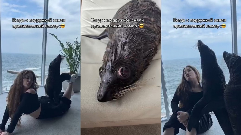 Скандал через тік-ток танці із морськими котиками у одеському готелі