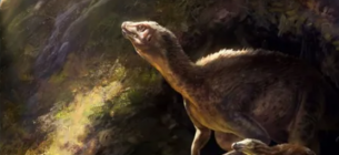 Динозаври могли жити під землею дослідження експонати музею