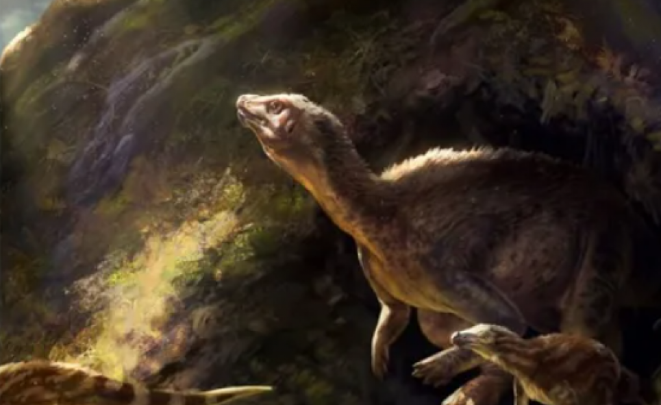 Динозаври могли жити під землею дослідження експонати музею