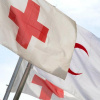 Сегодня 8 мая Всемирный день Красного Креста