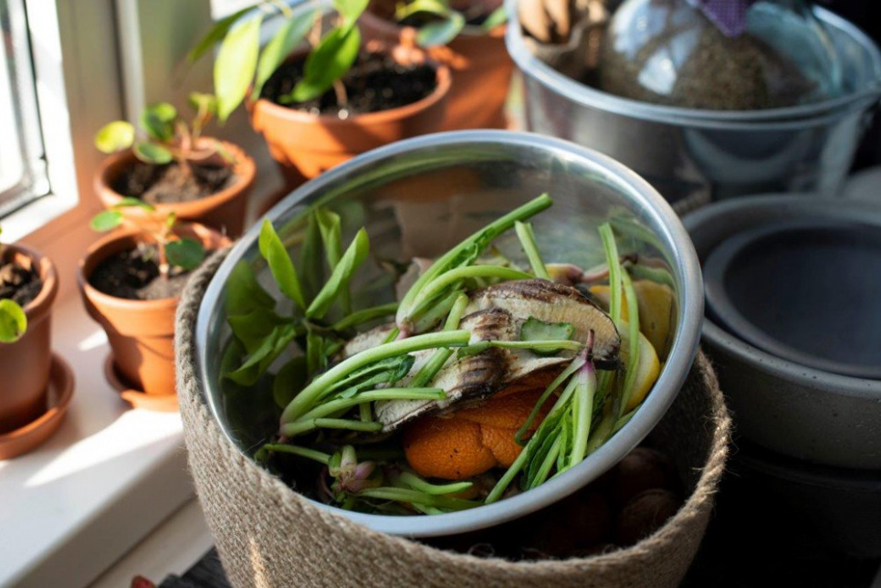 Компостування вдома: 5 простих кроків Як правильно приготувати компост