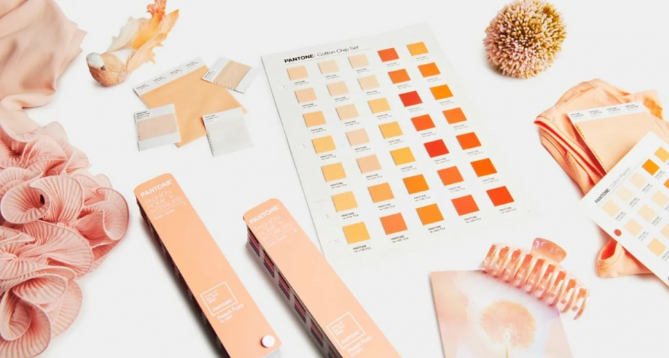 «Персиковий пух»: як використовувати колір 2024 року в моді, графічному та мультимедійному дизайні тощо Фото: pantone.com