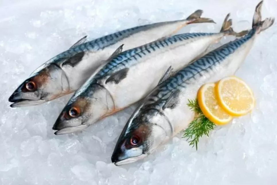 Как засолить скумбрию, чтобы она была вкусной и сочной: простые рецепты и советы по приготовлению Фото: "Здоровые люди"