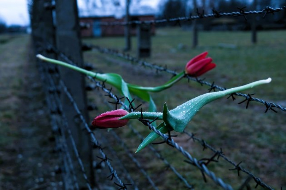 Геноцид Цей день в історії Права людини