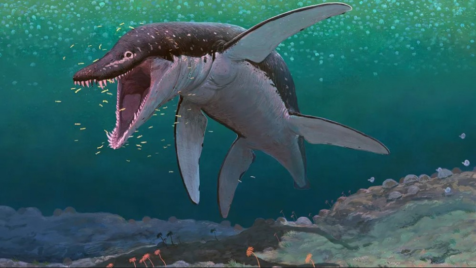 Художественное изображение плиозавра Lorrainosaurus. Иллюстрация: Alpha Galileo/dpa