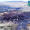 Мешканця Житомирщини зобов’язали сплатити 1,1 млн грн за забруднення землі хімічними речовинами