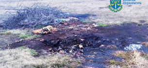 Жители Житомирской области обязали оплатить 1,1 млн грн за загрязнение земли химическими веществами