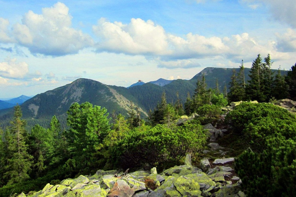 11 грудня – Міжнародний день гір - International Mountain Day Міжнародний день гір