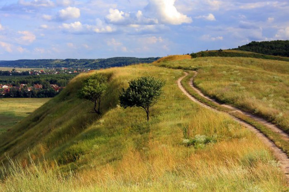 Заказник Планерна гора на Київщині