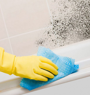 Как убрать плесень: пошаговая инструкция