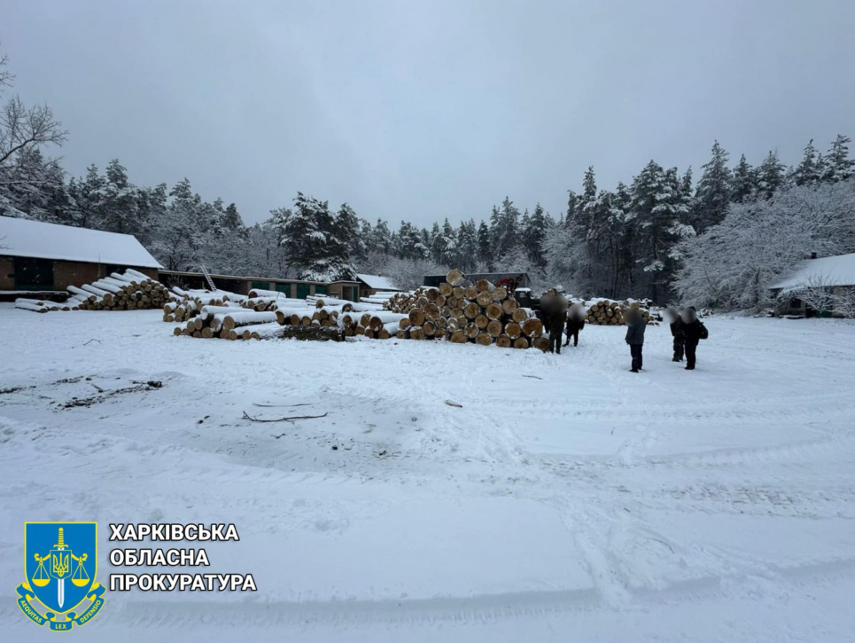 В Харьковской области раскрыли "черных лесорубов", нарубивших деревьев на миллион гривен