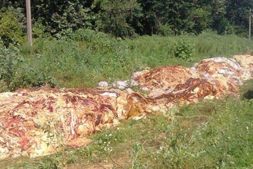 Підприємця із Черкащини судитимуть за забруднення земельної ділянки біологічними відходами Фото ілюстративне
