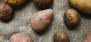 В Україну почали завозити картоплю з-за кордону
