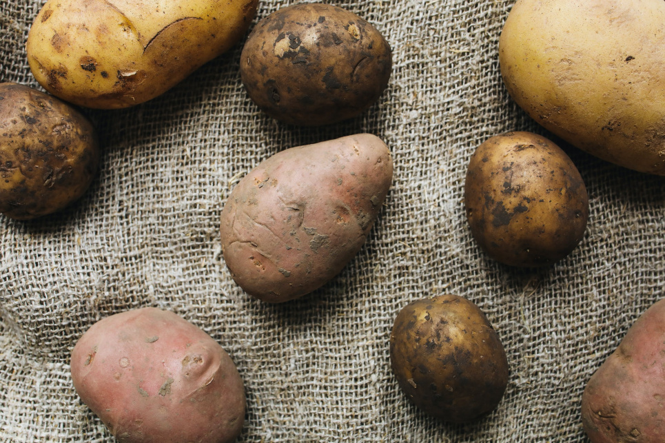 Цена картофеля рекордно выросла