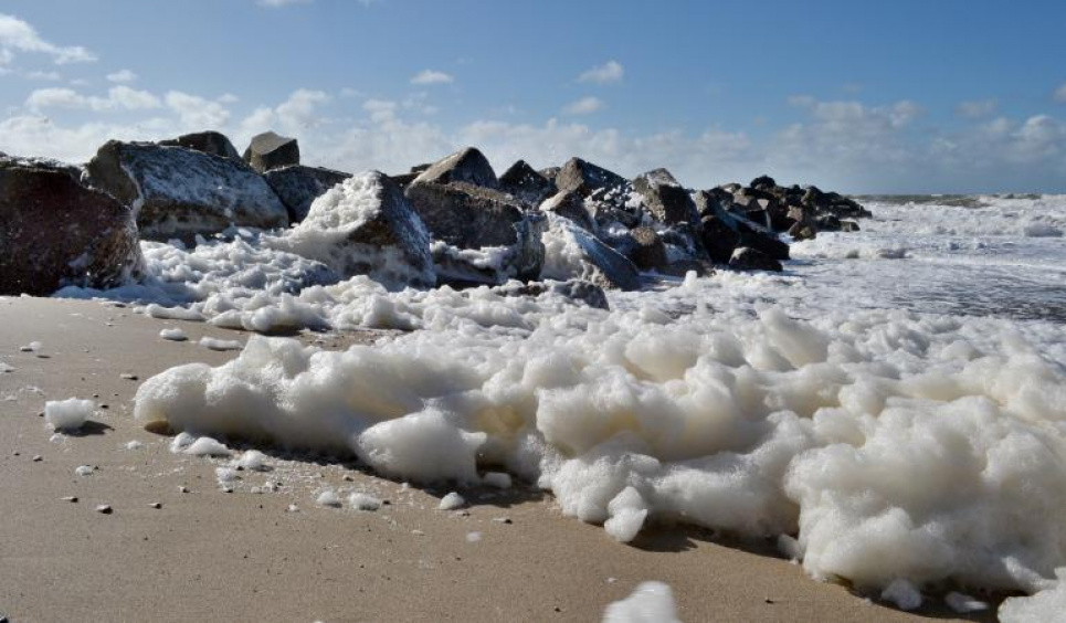 Морська піна містить небезпечну концентрацію "вічних хімікатів" 