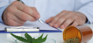 Верховна Рада приняла законопроект о легализации медицинского каннабиса