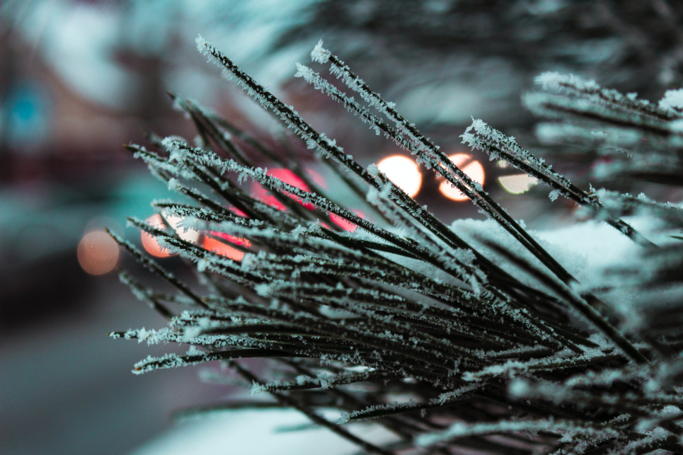 Народжені "валентинки" 14 лютого: гороскоп, стихія та кар'єра Народжені 14 лютого: гороскоп, стихія та кар'єра