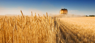 Україна посіла третє місце серед найбільших постачальників сільськогосподарської продукції до ЄС