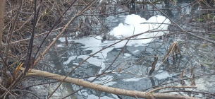 Водоканал на Київщині скидав хімікати у притоку річки Рось