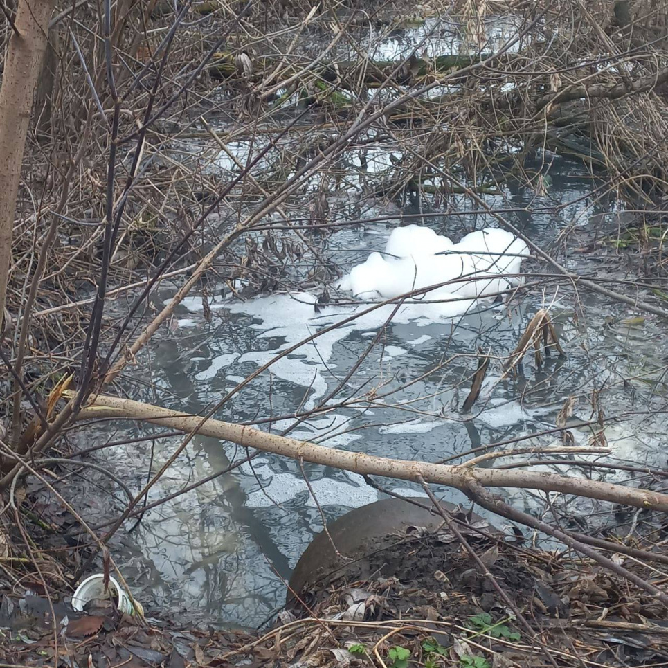 Водоканал на Київщині скидав хімікати у притоку річки Рось Водоканал на Київщині скидав хімікати у притоку річки Рось