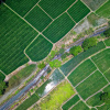 Фото иллюстративное