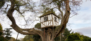 Знайдено найстаріший у світі будиночок на дереві
Фото – Pitchford Estate