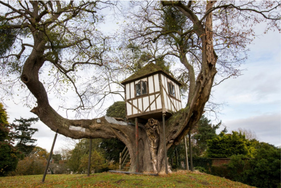 Найден самый старый в мире домик на дереве
Фото – Pitchford Estate
