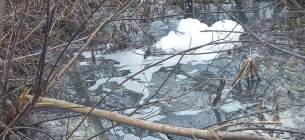Водоканал скинув у річку воду з високим вмістом хімікатів