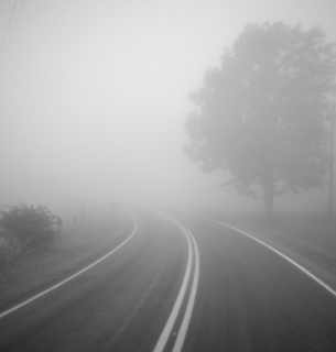 На Закарпатті оголошено жовтий рівень небезпеки через туман