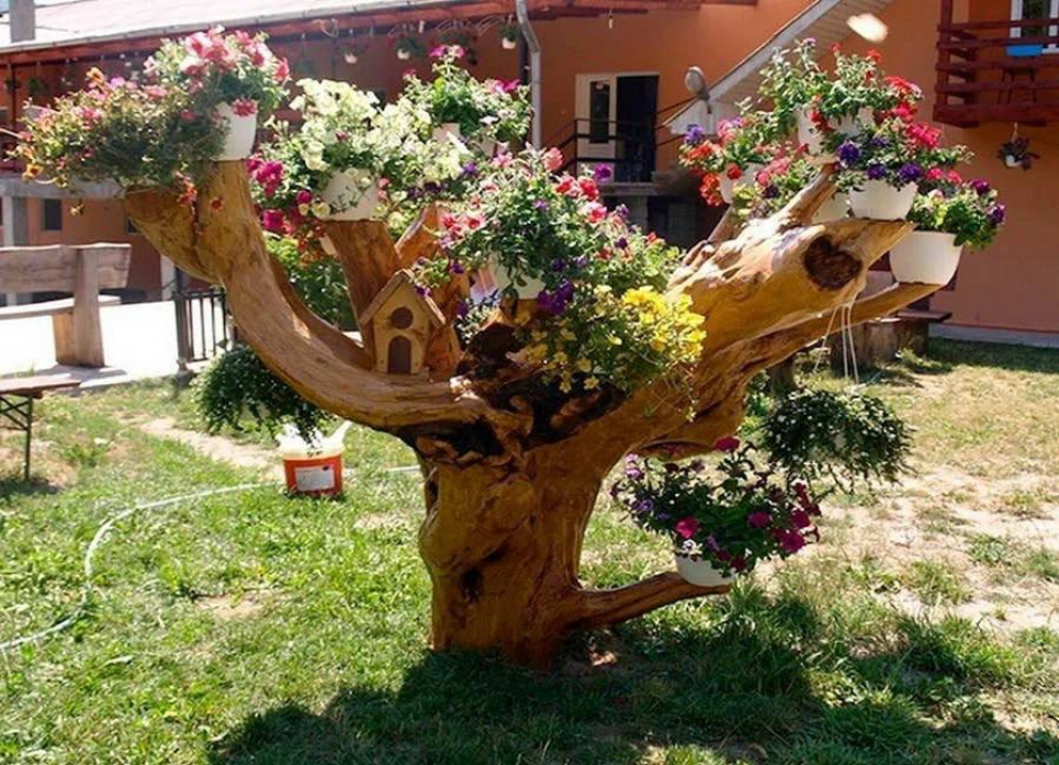 Пенёк от спиленного дерева — 9 «роскошных» сюжетов с его участием для декора сада!