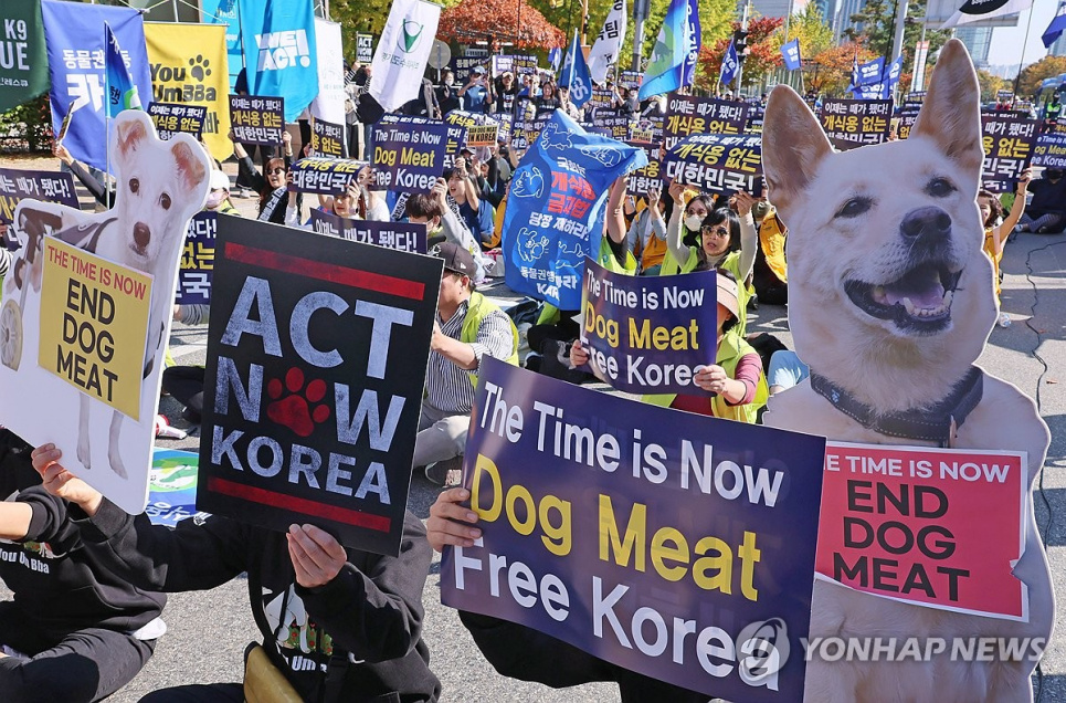 Люди беруть участь у демонстрації із закликом припинити споживання собачого м'яса в Сеулі 29 жовтня 2023 року. Фото: Yonhap