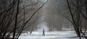 Погода в Украине на сегодня, 15 января